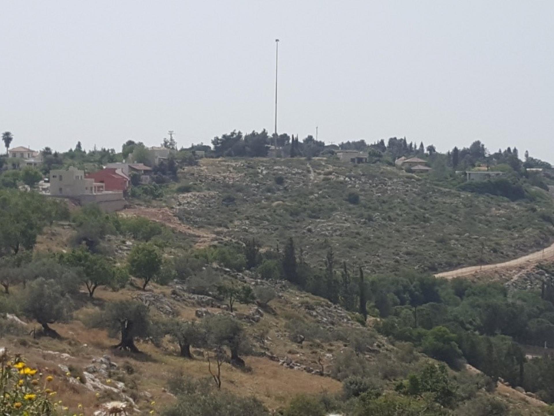 The green triangle on the upper right-hand side, G’s olive tree grove to which access has been blocked