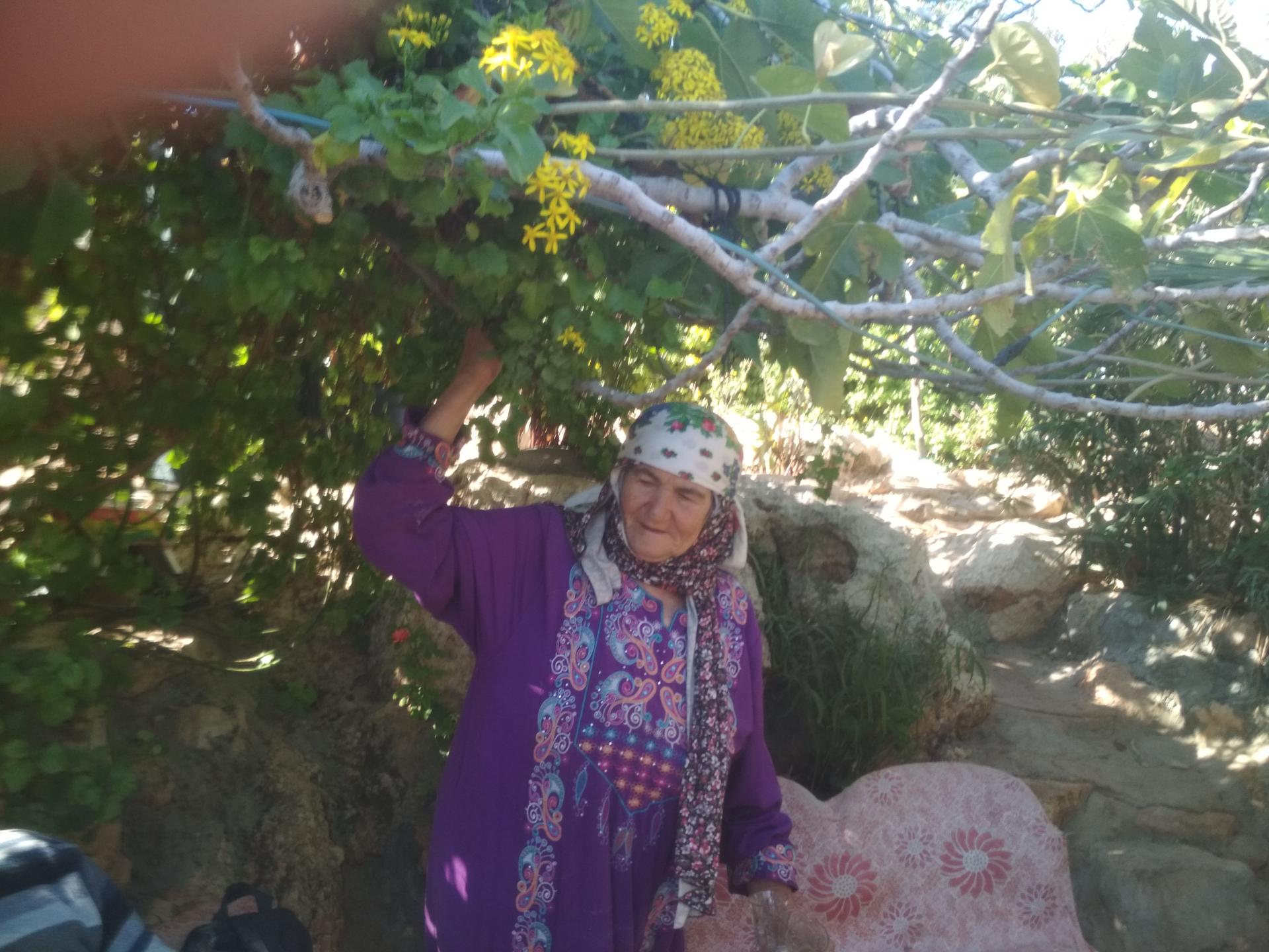 בקעת הירדן: הסבתא סלמה למשפחת דרגמה בגינה הירוקה שלה