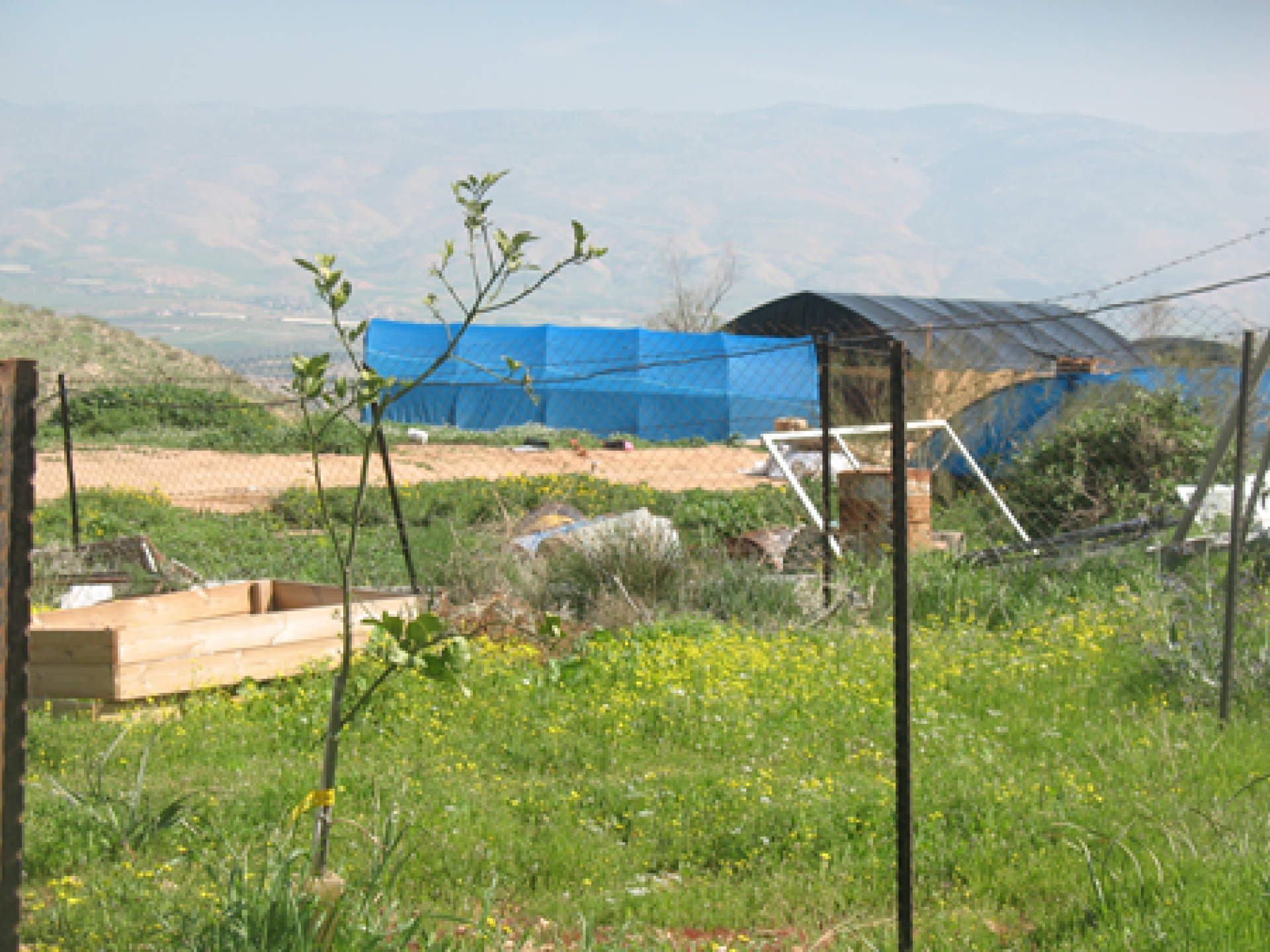 the upper “outpost” (Rotem settler-colony)