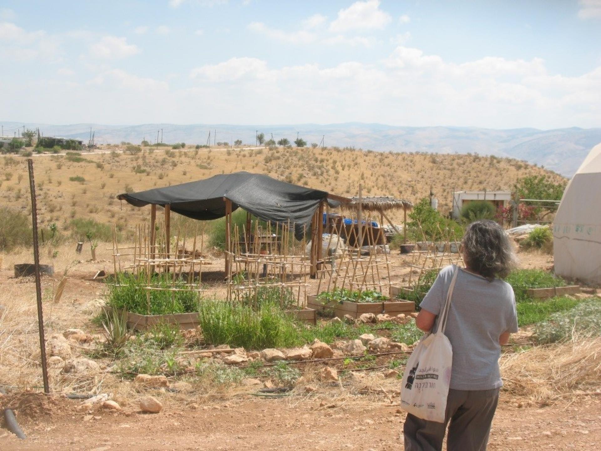 בקעת הירדן: המאחז החדש מדרום להתנחלות רותםממשיך להתפתח