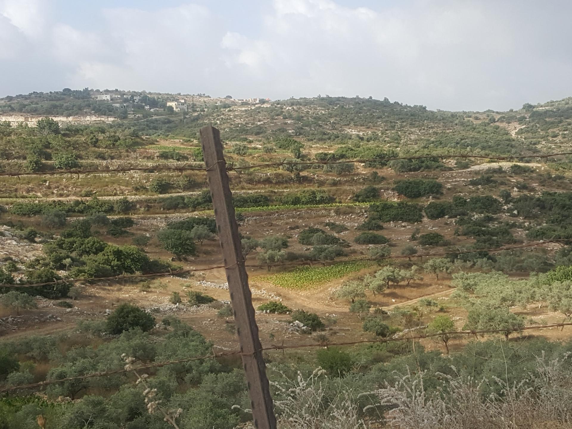 Barta'a Checkpoint – The view over the barbed wire fence and the occupation