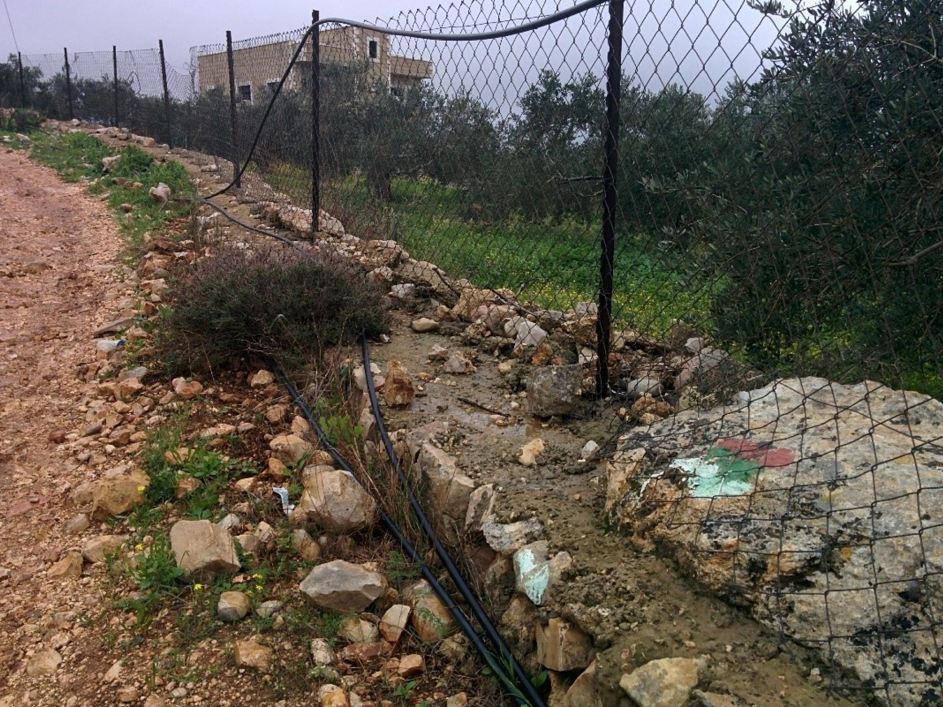 סימון שביל ישראל בבוסתן פלסטיני פרטי הצמוד לבית בפאתי הכפר