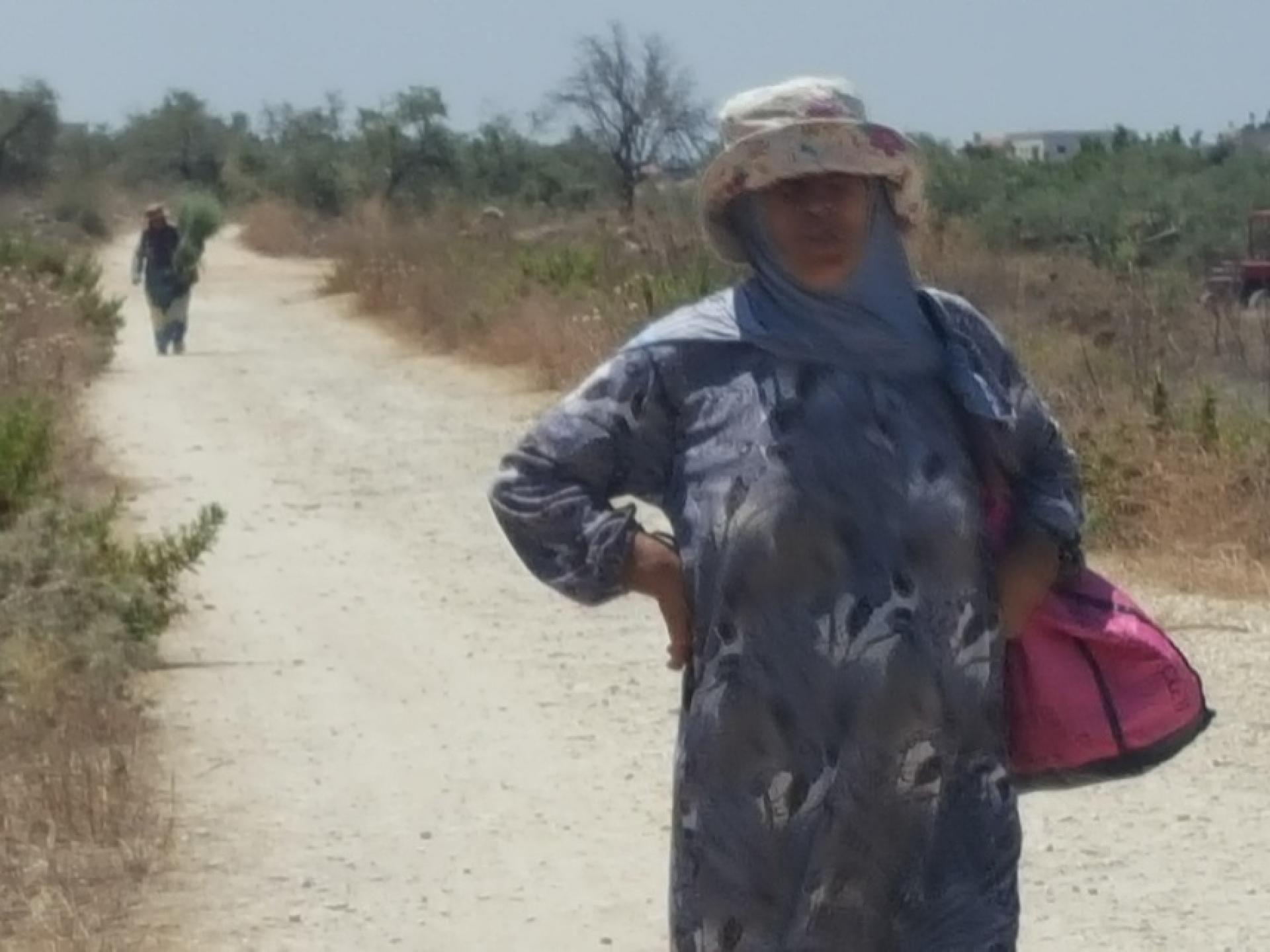 A Palestinian woman farmer