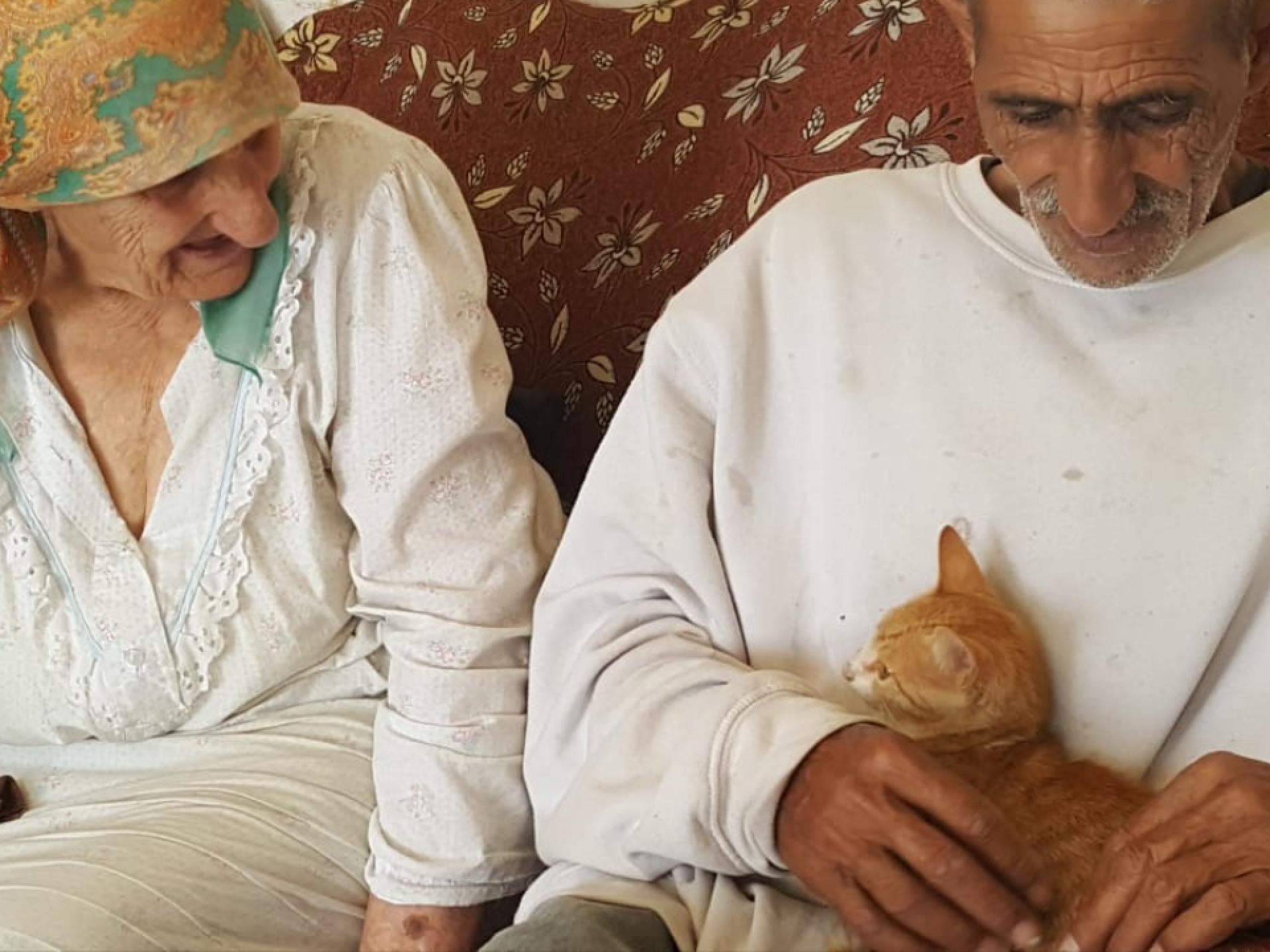 Ata Jabar and his lost cat