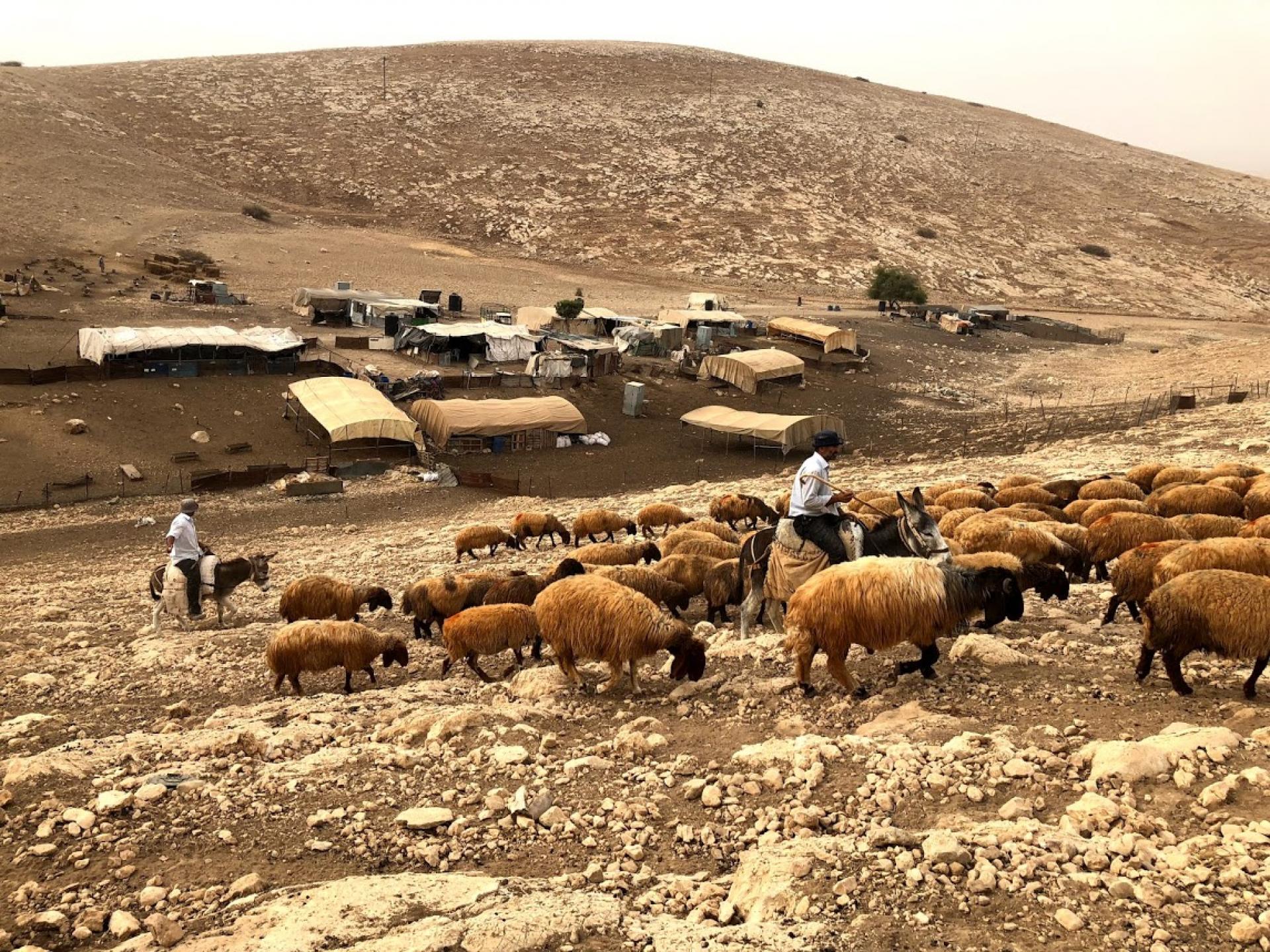 Palestinian Jordan Valley: Samra