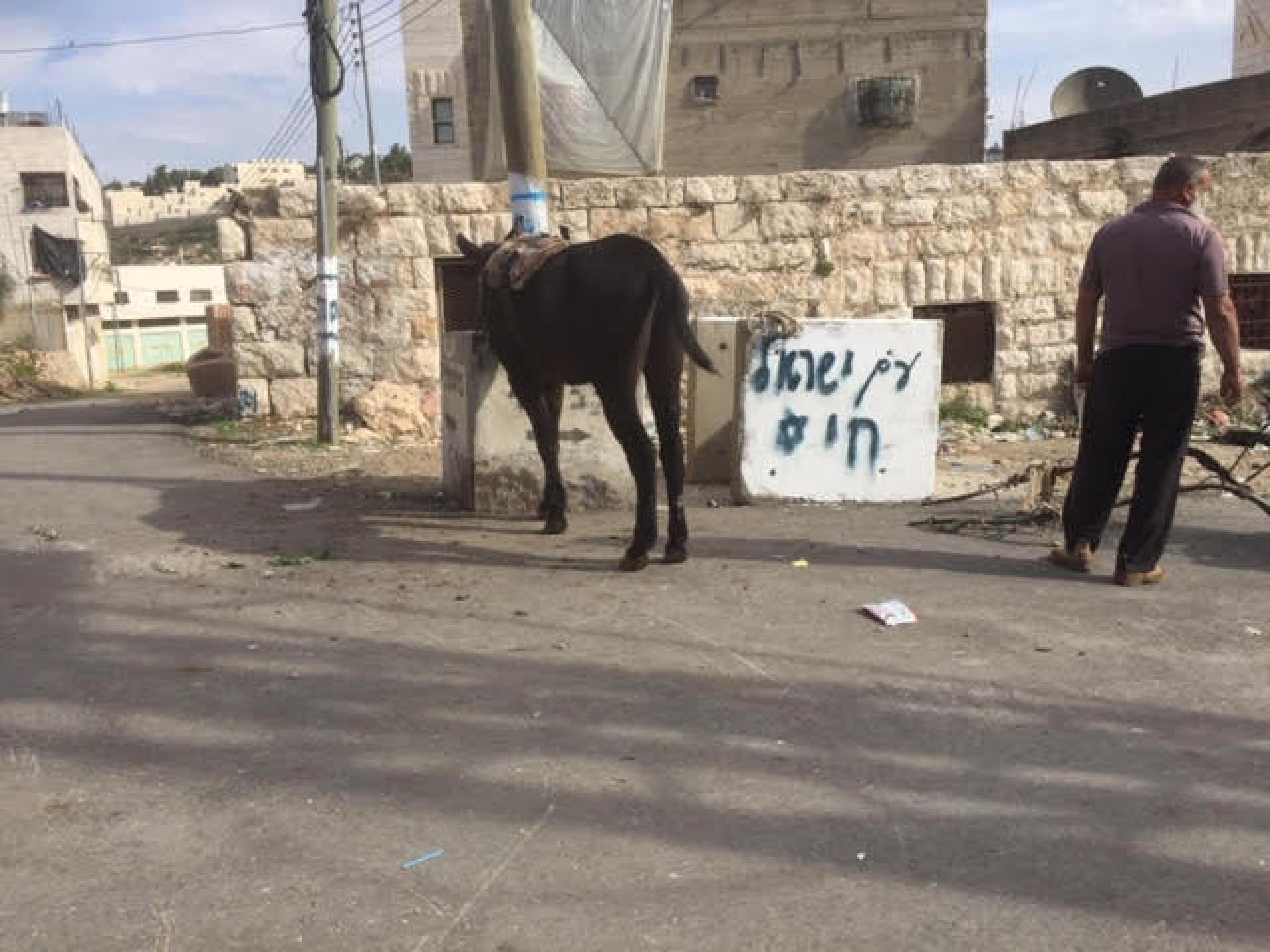 The grafitti The People of Israe live and the Palestinian with his broken cart