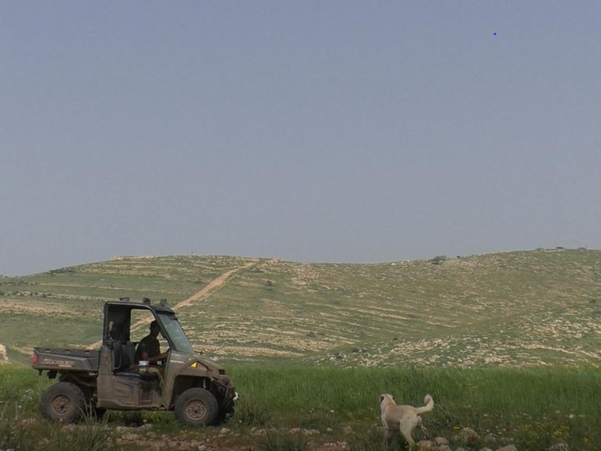 Jordan Valley: A settler riding an ATV next to a Palestinian’s field of oats.