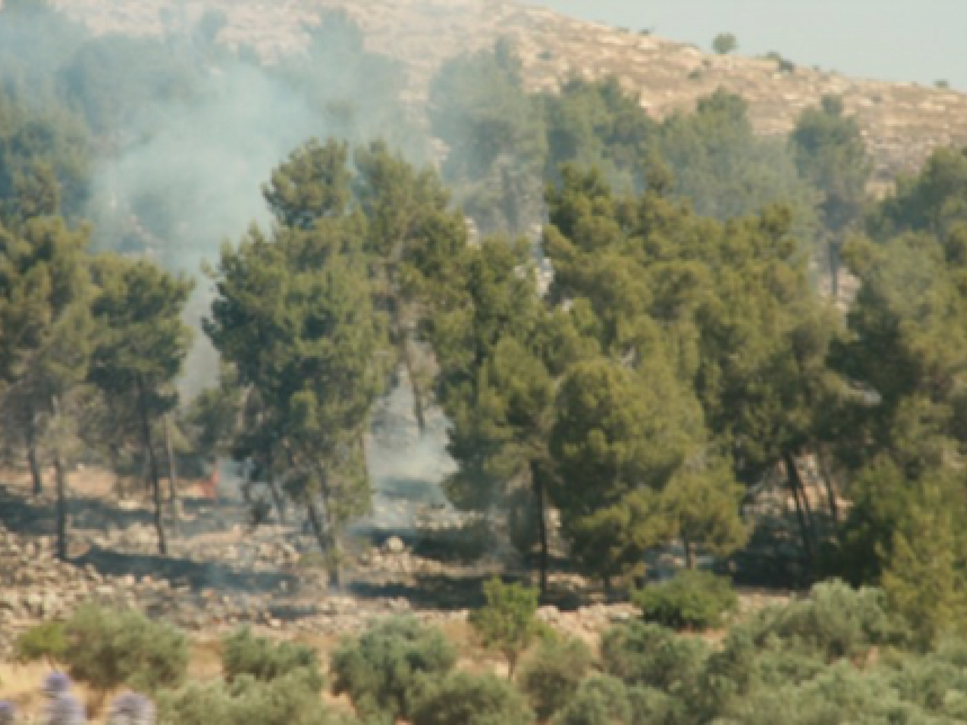 שריפה בדרום הר חברון