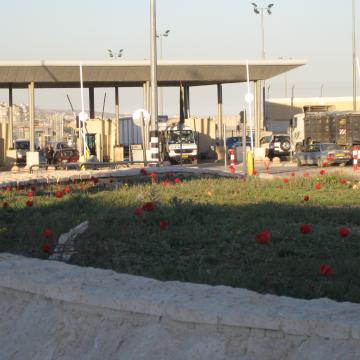 Qalandiya checkpoint 10.01.10