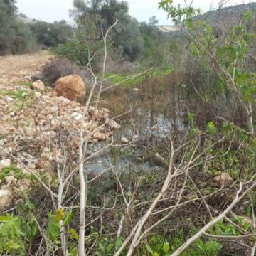 The sewage flowing from Sha'arei Tikva settlement  