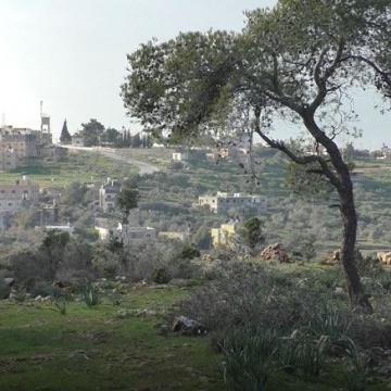 A view of Nabi Saleh from the edge of the reserve 