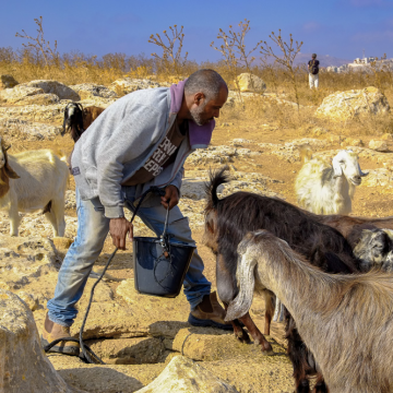 רשאש: רועה פלסטיני שואב מים מהבאר בשטח, כדי להשקות את הצאן