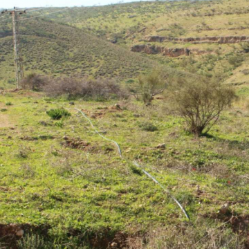 בקעת הירדן: צינור מים יוצר מהתנחלות רועי ועולה למאחז הלא חוקי החדש דרומית למשכיות