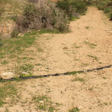 בקעת הירדן: צינור המים ממשיך ומטפס אל המאחז הלא חוקי על פסגת הגבעה
