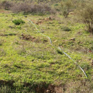 בקעת הירדן: צינור מים שיוצא מהתנחלות משכיות לעבר המאחז הפיראטי מדרום