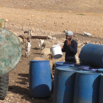 בקעת הירדן: בורהאן משקה את הצאן