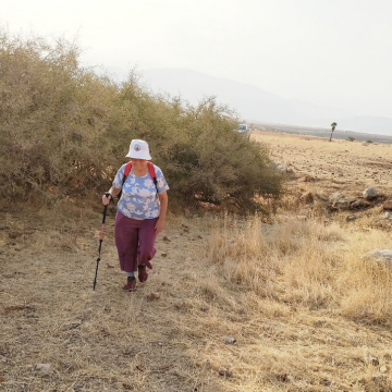 בקעת הירדן: צביה בדרכה לליווי רועים כהגנה מפני התנכלות המתנחלים