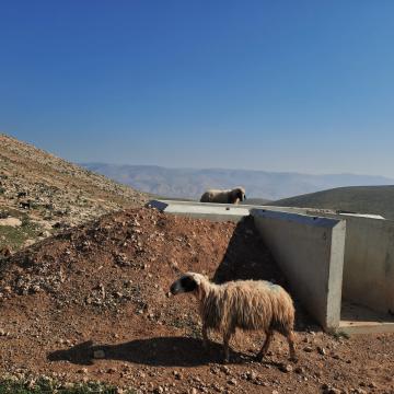 ליווי רועים באזור ח'לת מכחול
