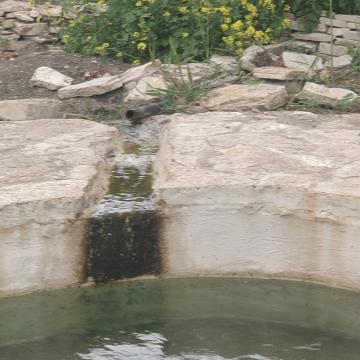 בקעת הירדן, אלחאדר: מים שהוסטו מן המעיין המקורי ממלאים תא הבריכה הגנובה