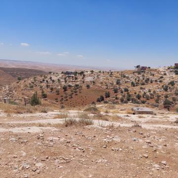 מסאפר יטא - חקלאות בח'לת אל-דבע