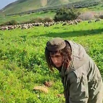 אל פארסיה בקעת הירדן: נער ממאחז 