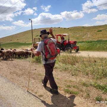 בקעת הירדן: דן מקבוצת ליווי רועים, בשטח