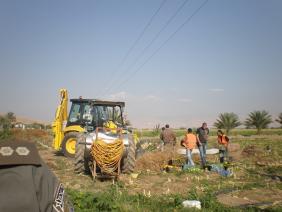 בלב השדה - הארגזים נלקחים מהפלסטינים