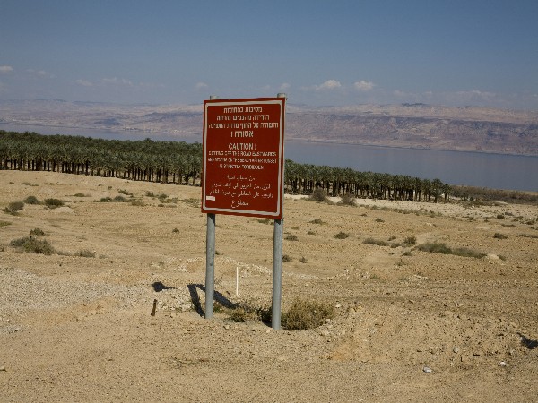 מטעי תמרים של התנחלות בתוך שטח אש בצפון ים המלח. צילום: קרן מנור, אקטיבסטילס