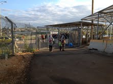 הבנות הולכות לבית הספר בבוקר