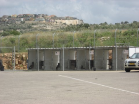 Dogs Eliyahu Crossing 09042013