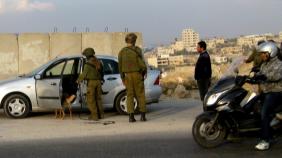 הכלב הוכנס לרכב