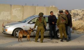 הקורבנות הוצאו