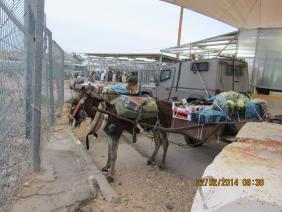 עגלה עמוסת ירקות 