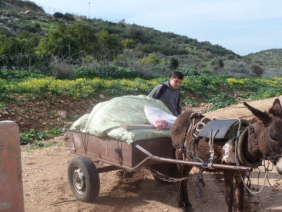 Beit Amin 06/01/2016