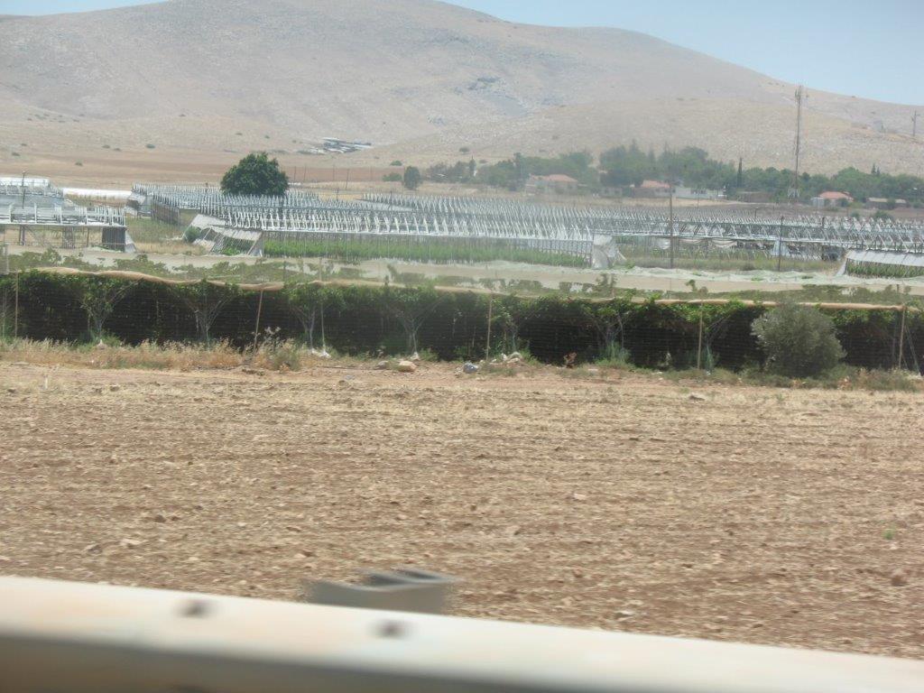 23.6.2016 Beqaot settlement green and wet_0.jpg