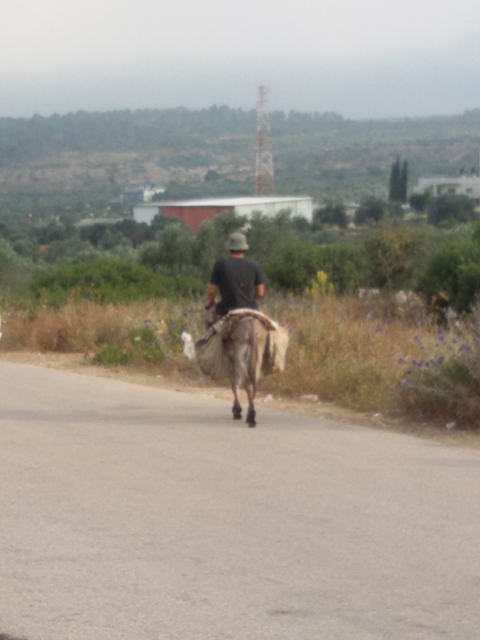 tura checkpoint Tami Rotov.jpg