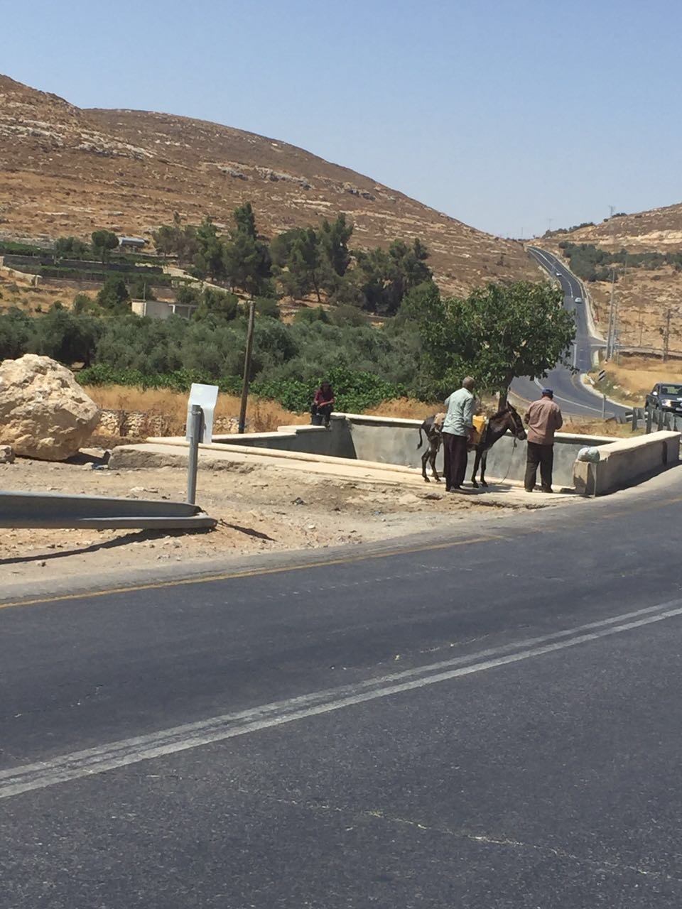 מים הביתה המעין שליד דורא אלפאוואר