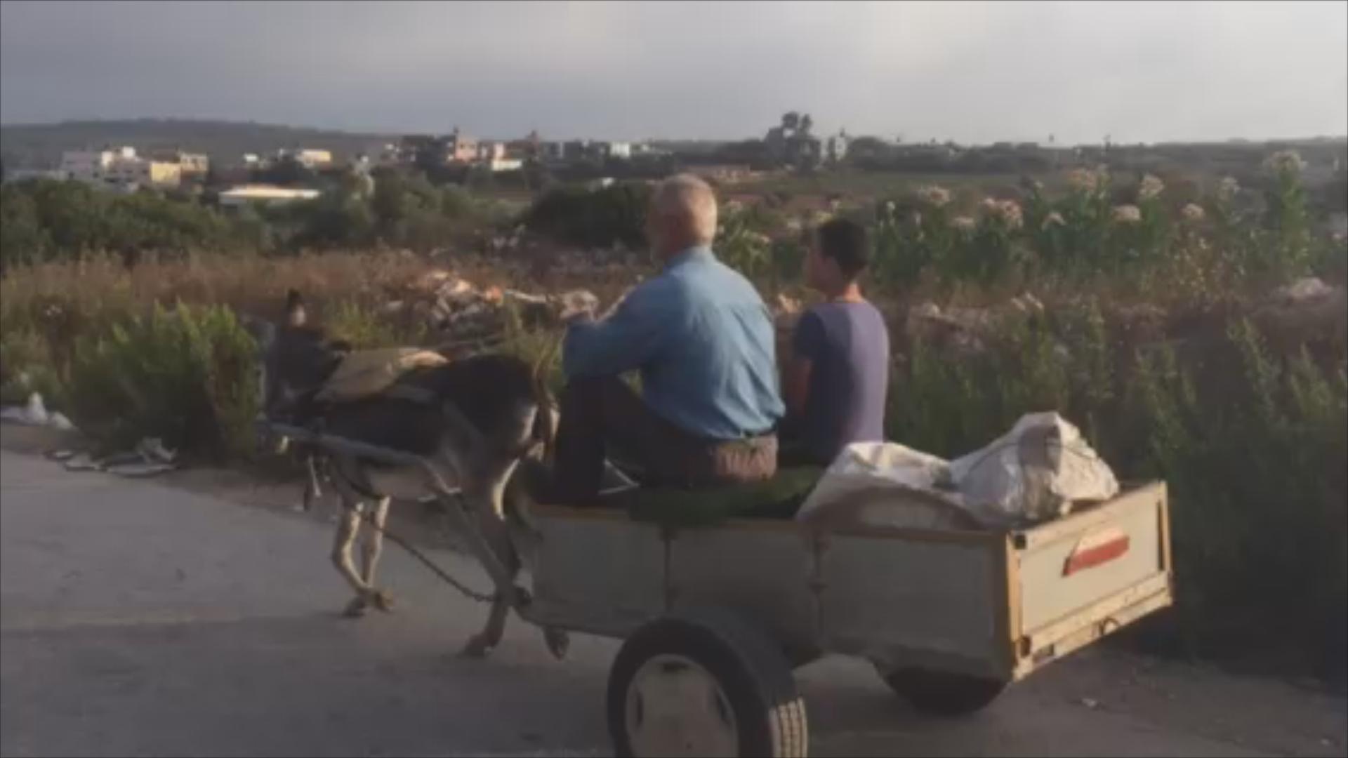 Untitled Sequence.01.jpg