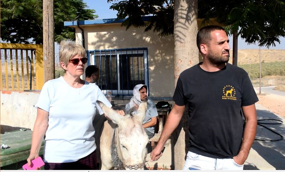 דפנה מנסה למנוע מלוכד החיות לקחת את החמור . ללא נייר. צילמה נורית פופר.jpg