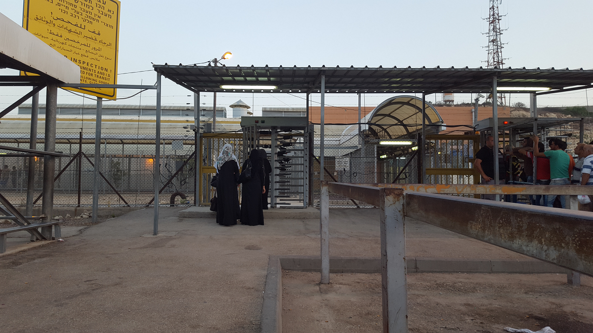 11.8.16 the seamstresses.png