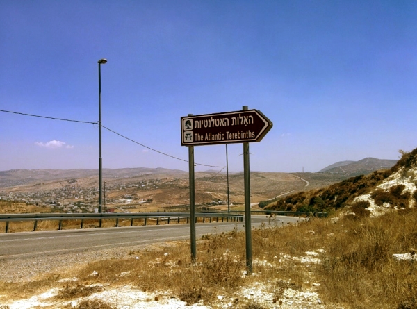 A sign ignoring the Maqam Nabi Ismail .jpg