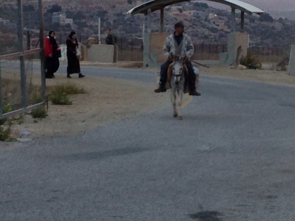 Anin chckpoint Elia Halevi.jpg