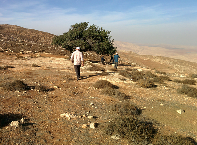 The view from maqam Sheikh Kamel.png
