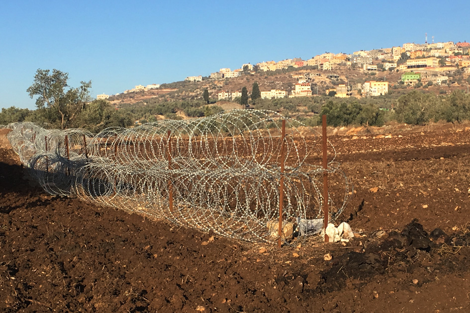 שלוש שכבות של תלתלית צהלית בשטח חקלאי ליד יעבד.jpg