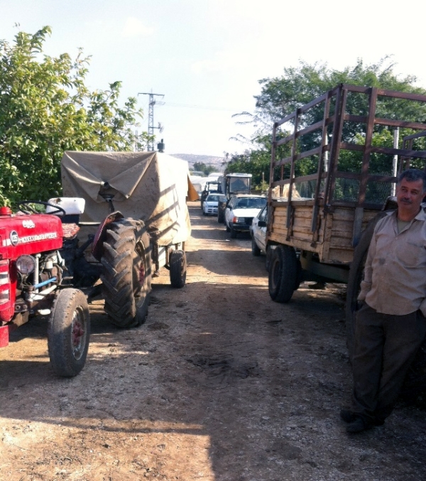 falamiya north  61216