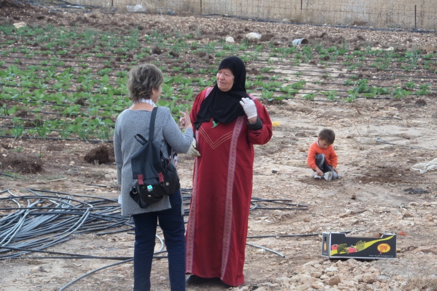 כל המשפחה עובדת בחממות. אחים נשים ואמהות