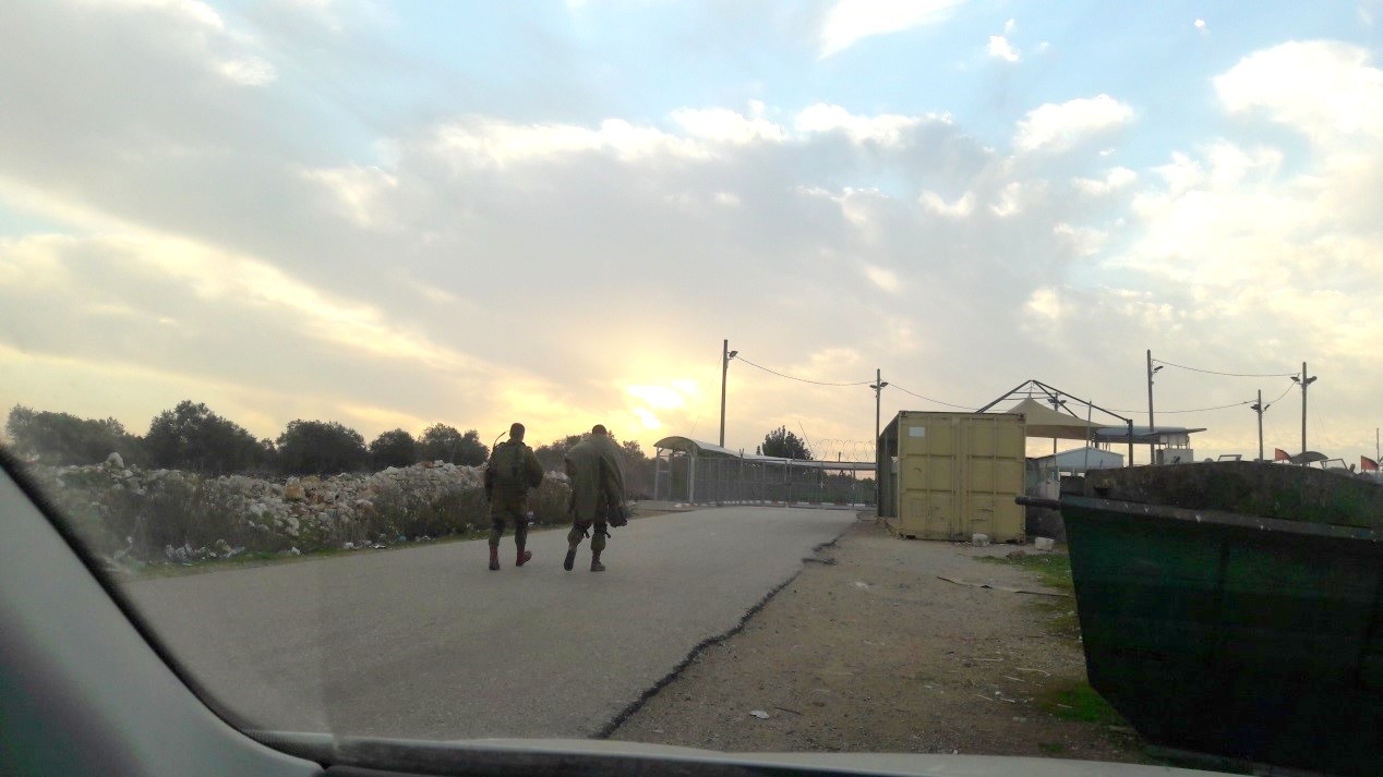 טורה רוחלה.png