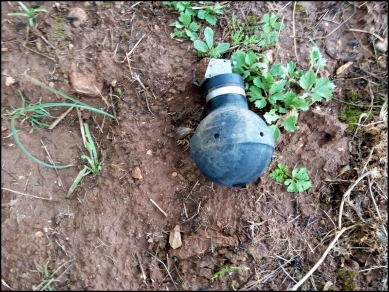 רימון שמצאנו במאחז 14.2.17_0.jpg