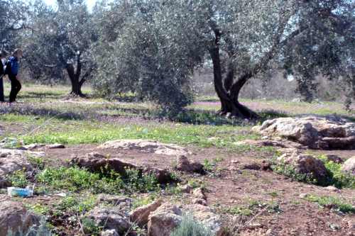 07/012/2017 dir el rusun