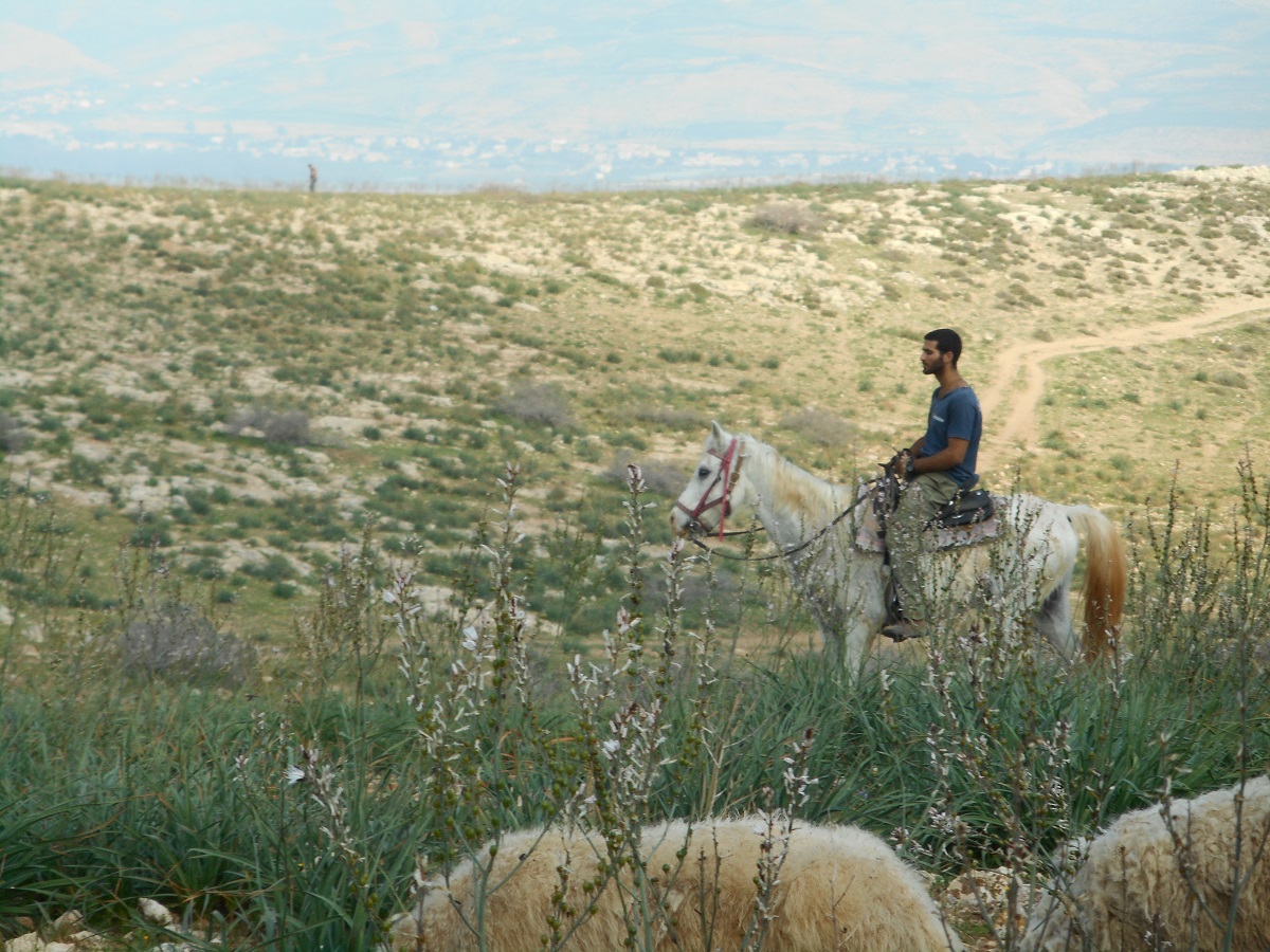 אחד מ-3 המתנחלים המאיימים  עלינו 7.3.17.jpg